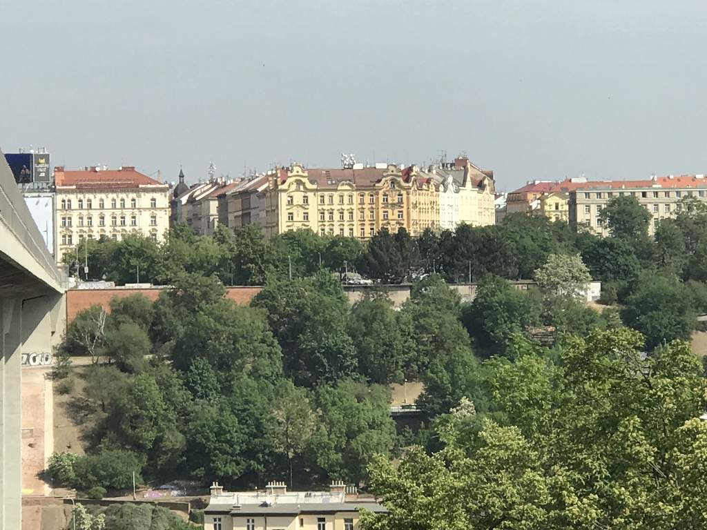 IMG_8429.JPG